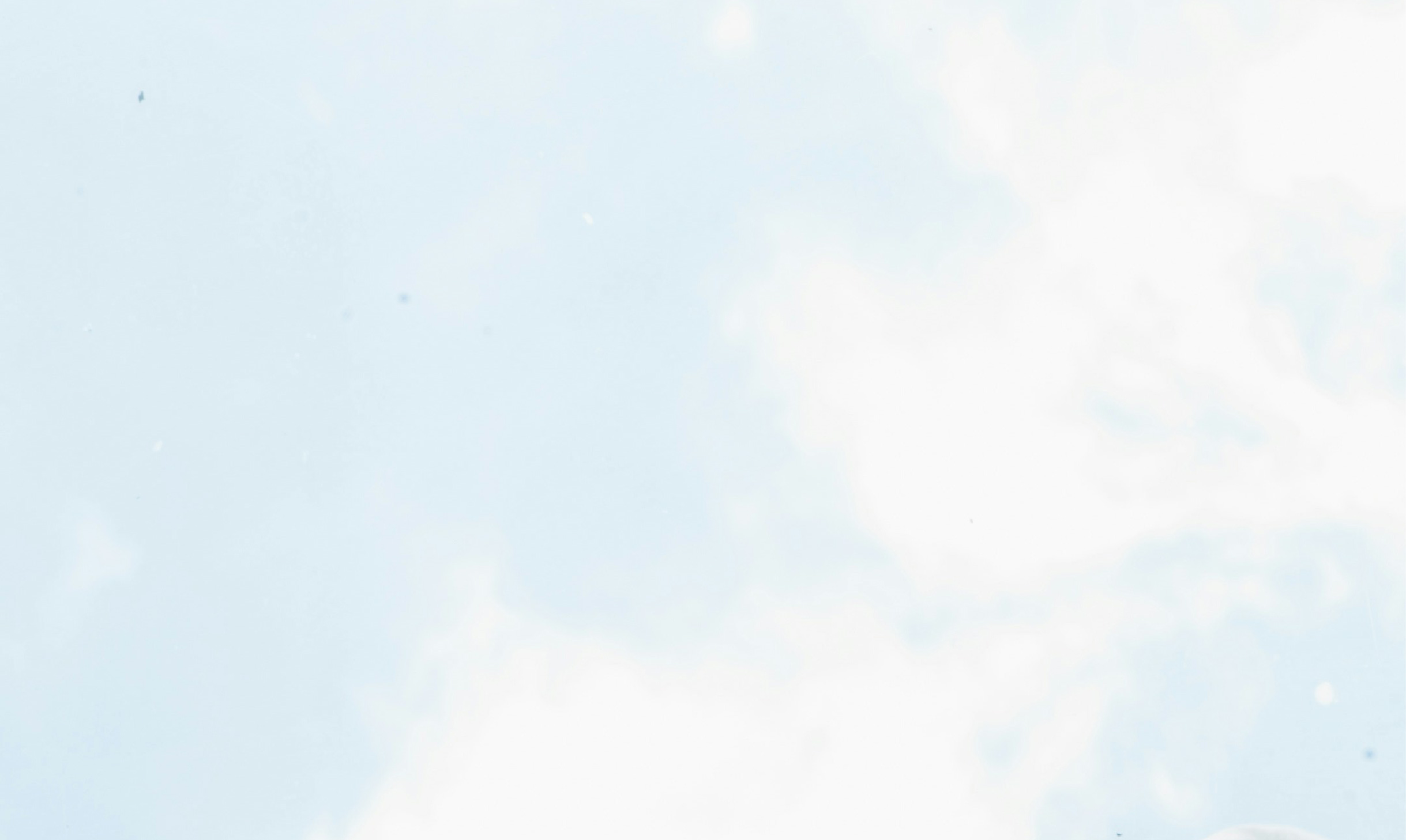 bg_shopping-guide_sp.png