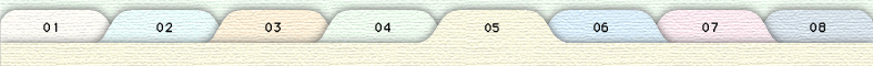 5tab