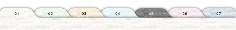 1tab