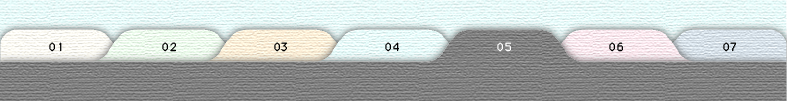 5tab