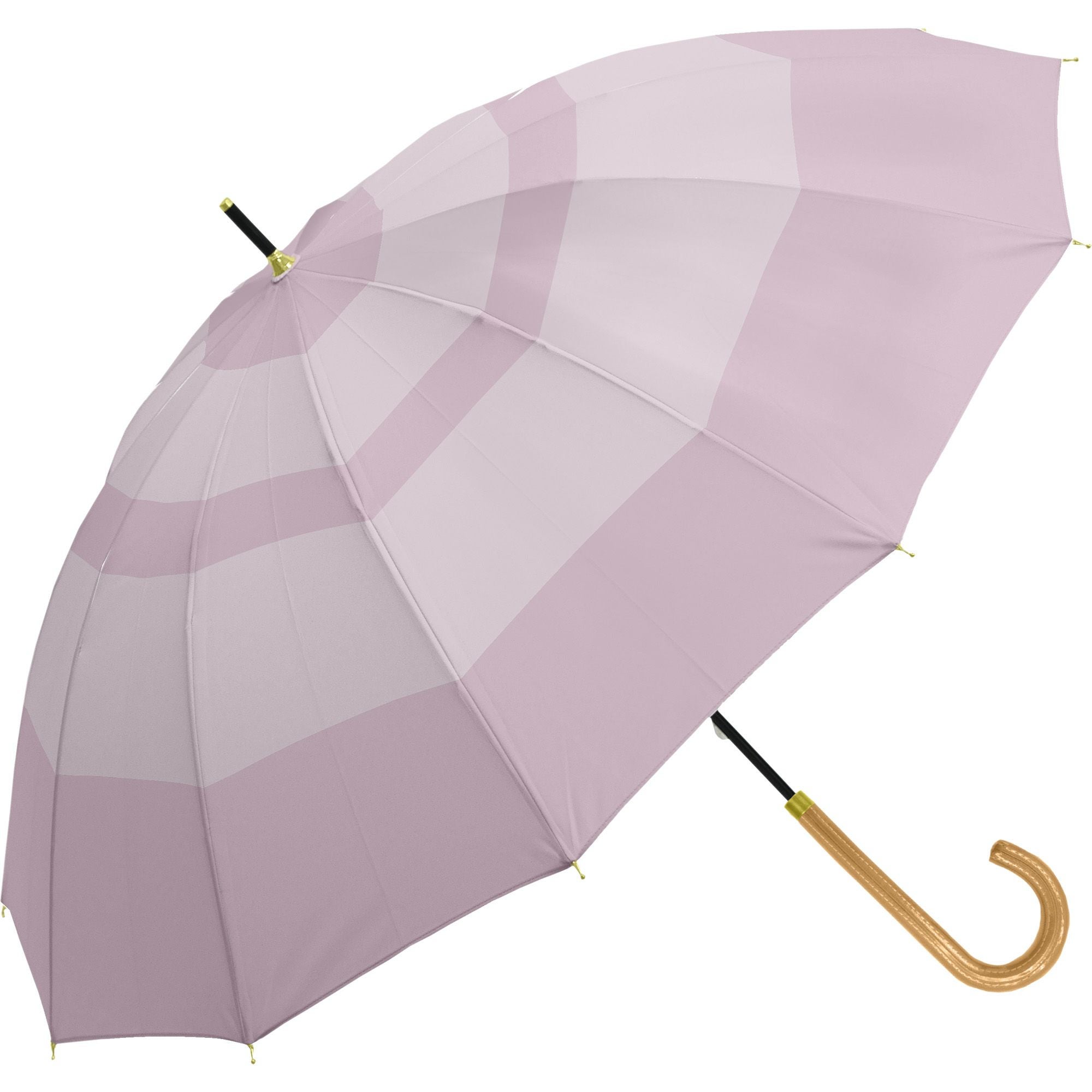 雨傘 アメリア 12本骨 長傘 RL742 | ASCENTE Online Store